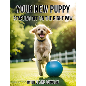 Your New Puppy